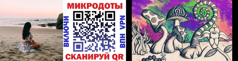 хочу   Черняховск  Псилоцибиновые грибы мухоморы 